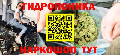 ПСИЛОЦИБИНОВЫЕ ГРИБЫ Изобильный