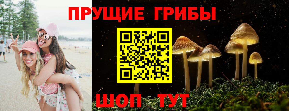 где можно купить наркотик  Вход с VPN  Псилоцибиновые грибы мухоморы  Конаково  Галлюциногенные грибы MAGIC MUSHROOMS 